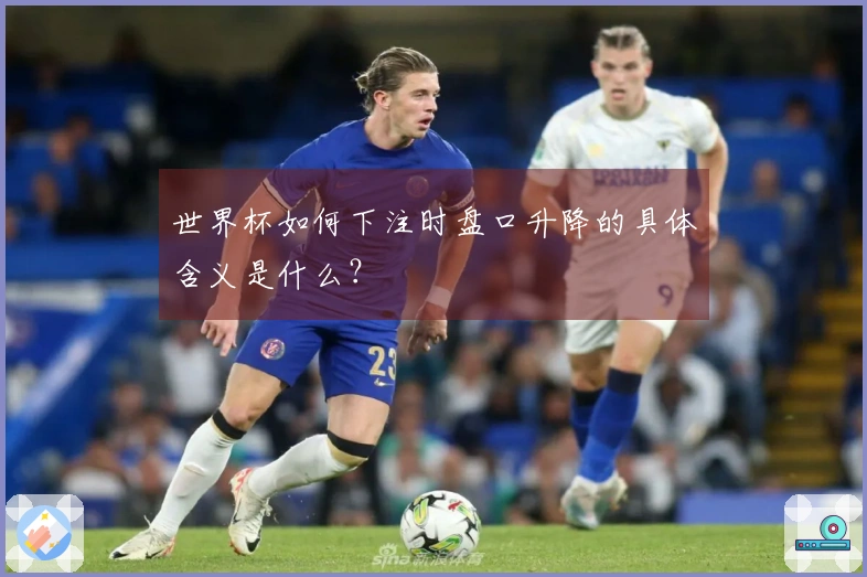 世界杯如何下注时盘口升降的具体含义是什么？