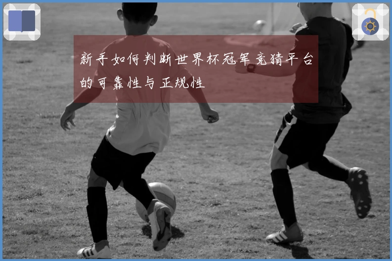 新手如何判断世界杯冠军竞猜平台的可靠性与正规性