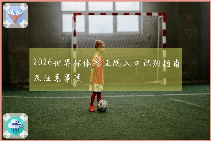 2026世界杯体彩正规入口识别指南及注意事项